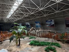 -中国第四纪冰川遗迹陈列馆