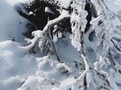-中旅松花湖滑雪场