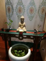 -伽玥瑜伽·普拉提馆