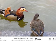 -中国农业博物馆