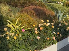 -Dal Cuore 达可芮冰淇淋(陕西北路店)