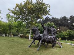 -铁山坪森林公园