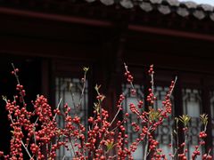 -钱王祠