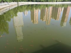 -迎泽公园