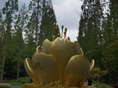 -东平国家森林公园