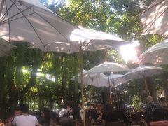 -Fern Forest Cafe