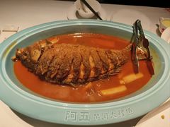 -阿五黄河大鲤鱼(纬三路店)