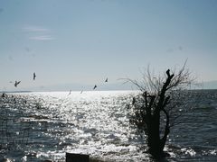 -捞渔河湿地公园