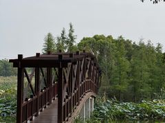 -同里国家湿地公园
