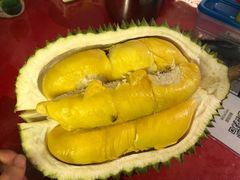 -都念榴莲·城市榴莲