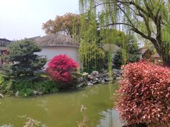 -渭塘酒家(生态园店)