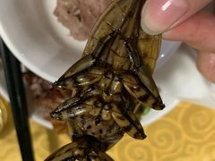 -阿鸟农庄(石壁店)