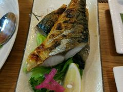 -樱の千渡日式料理·铁板烧•烧鸟(金盛田广场店)