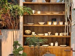 -自由生长植物工作室(深港花卉中心店)