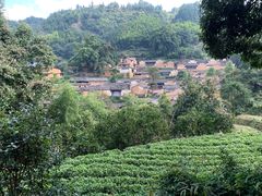 -杨家堂村