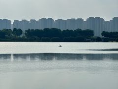 -洋湖国家湿地公园