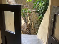 -疯狂屋