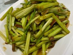 水芹-金蝉食府(维吉奥广场店)