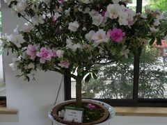 -汇龙潭