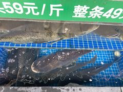 -好灶头妈妈菜·千岛湖柴火鱼餐厅(桐庐店)