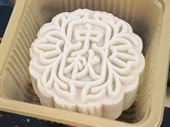 -极斗-IKMF马伽术·格斗运动学院(东直门店)