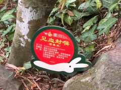 -呀诺达热带雨林