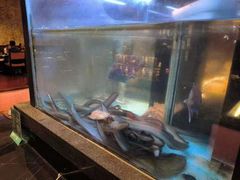 -九洲喜来登酒店湖月日餐厅
