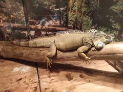 -多彩贵州城极地海洋世界