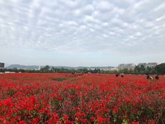 -北川羌城旅游区