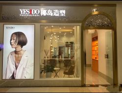 -YESIDO椰岛造型
