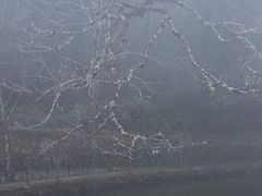 -云南屏边大围山国家公园