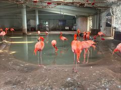 -石家庄市动物园