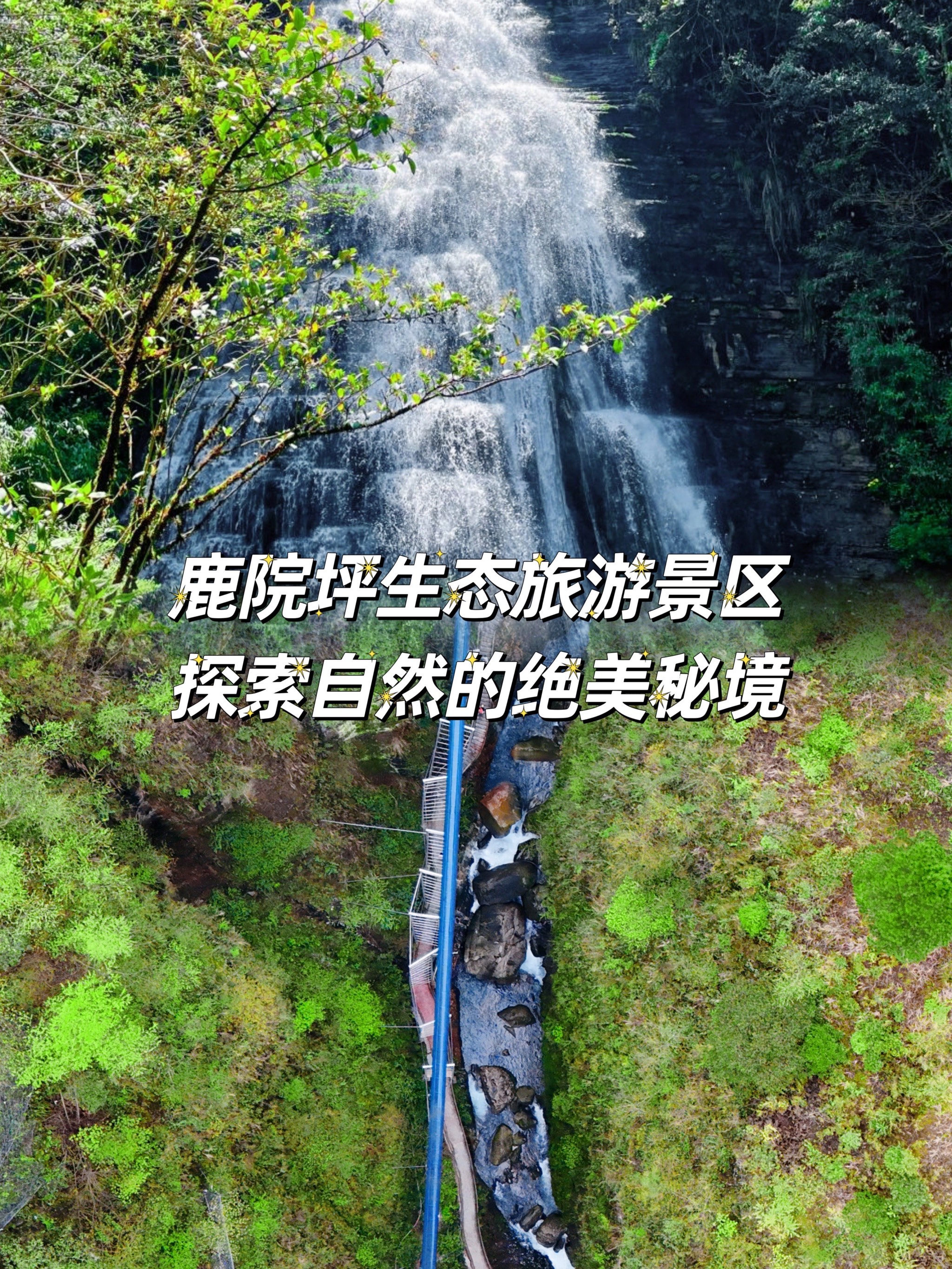 鹿院坪景区介绍图片