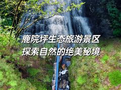 -鹿院坪生态旅游景区