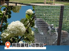 -南昌动物园