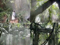 -青青世界