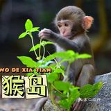 三亚必打卡推荐