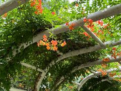 -祥源·阜阳生态乐园