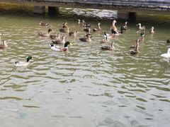 -海珠湖公园