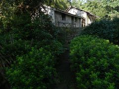 -蒋氏故居