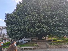 -蝴蝶泉公园