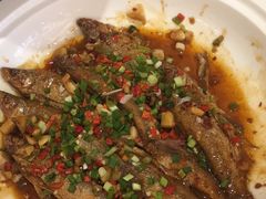 -肖记公安牛肉鱼杂馆·省级非物质文化遗产(三角路直营店)