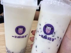 -一只酸奶牛(八一路店)