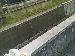 -上海漕河泾万丽酒店