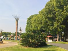 -上海月湖雕塑公园