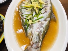 清蒸白鱼-观桥阁(锦溪店)