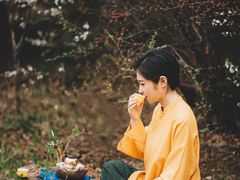 -爱新觉罗皇家博物院