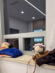-上海伊莱美医疗美容医院