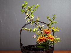 -荷兰布尔玛国际花艺学院
