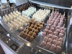 -Patagonia Chocolates(皇后镇店)